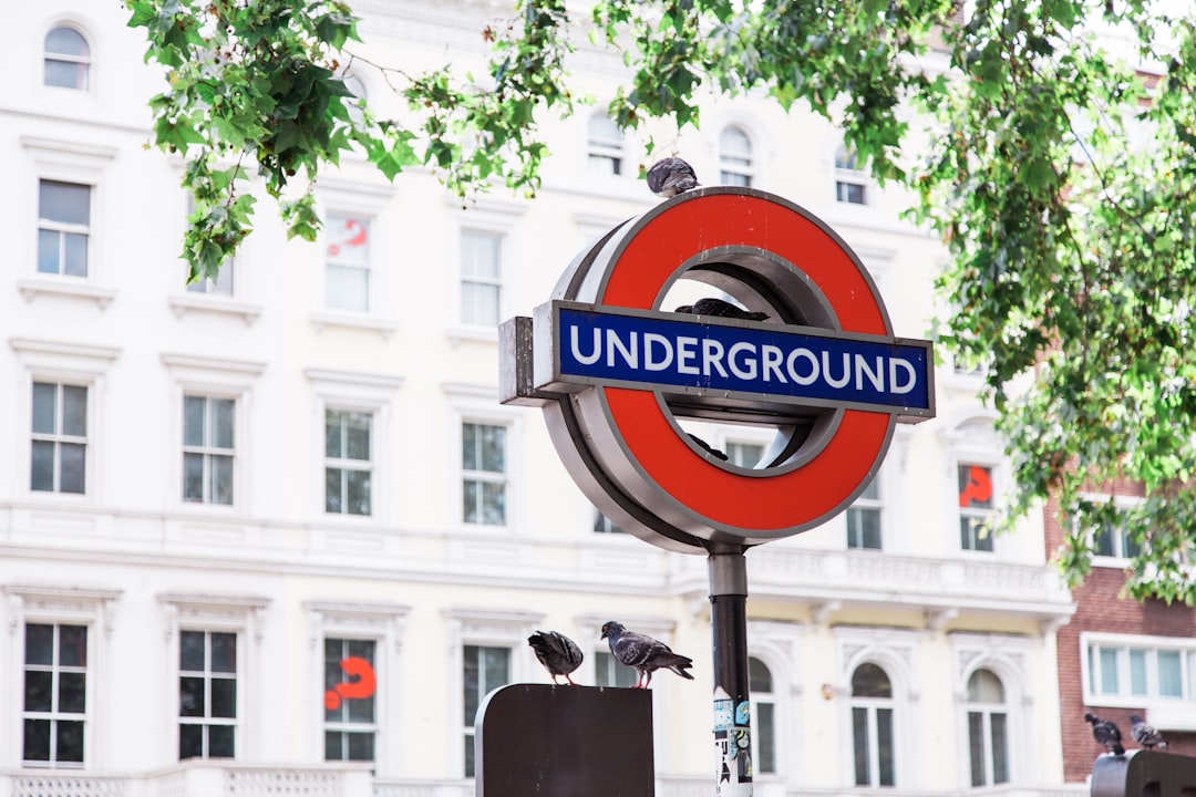 Heathrow to Kensington with kids and luggage: the sane route
